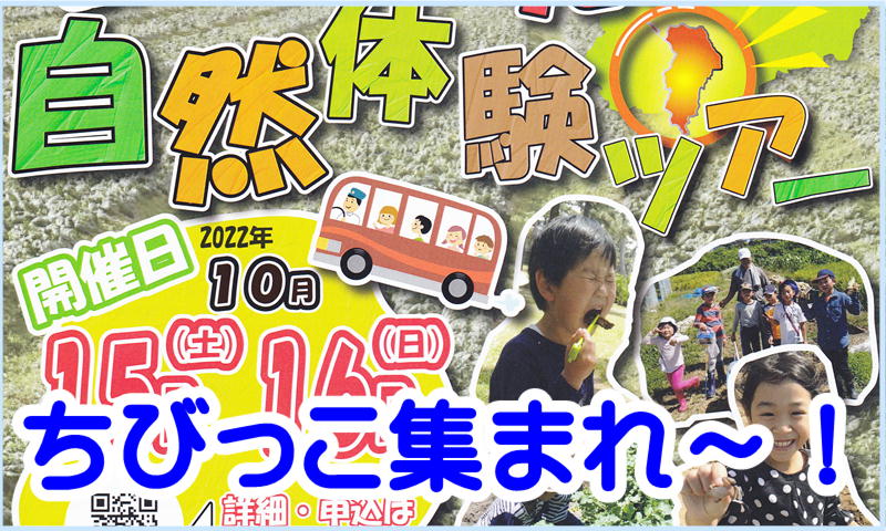 アイキャッチ2